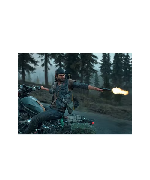  Days Gone PS4 Playstation 4 : Video Games