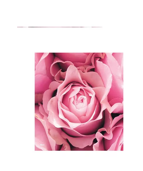 Editor Flower Print Greeting Card - Pink