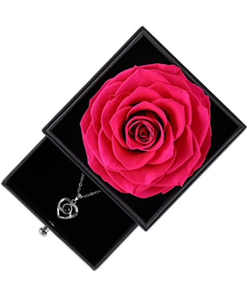 Techops Preserved Rose and Necklace in Music Box, Rose Box India | Ubuy