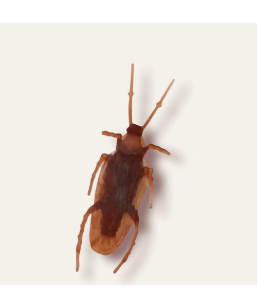 Trick Real Cockroach Plastic - Brown