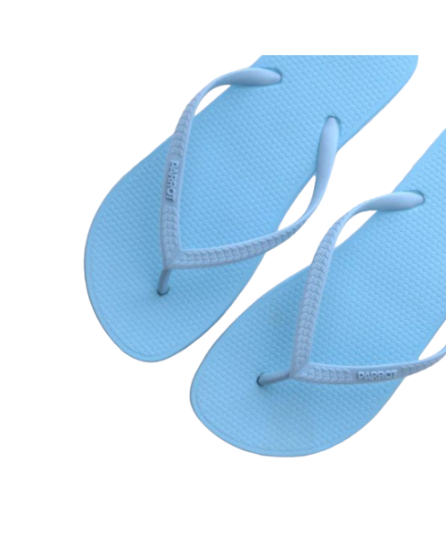 Parrot Solid Flip Flop Slipper Flat For Women Light Blue