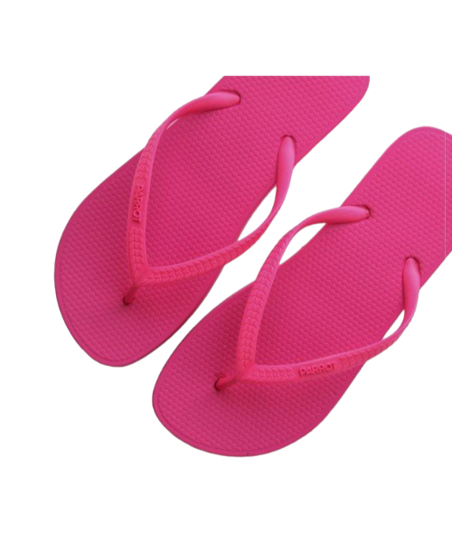 Parrot Solid Flip Flop Slipper Flat For Women Fushisa