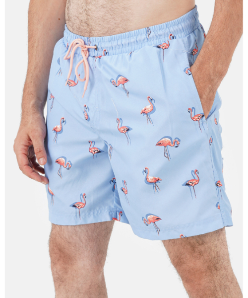 Flamingo print hot sale swim shorts