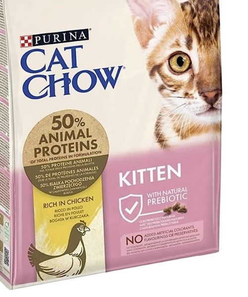 Purina cat 2024 chow kitten