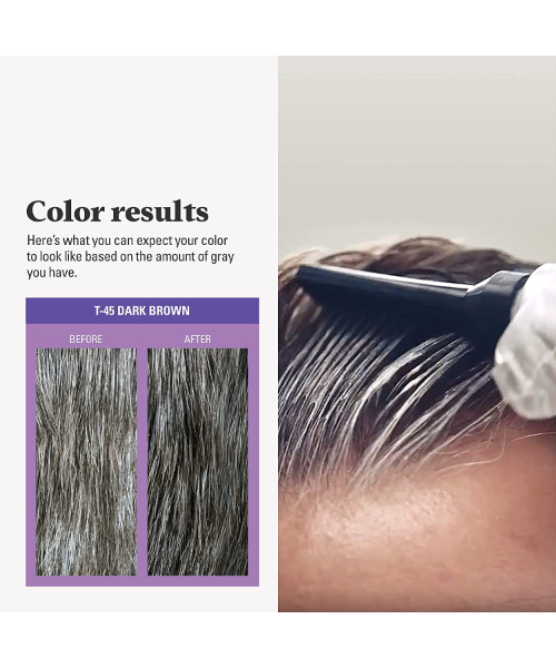 Just For Men Touch of Gray, Gray Hair Coloring with Comb Applicator, Great for a Salt and Pepper Look - Dark Brown, T-45