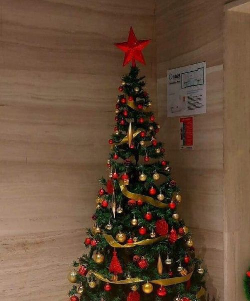 Christmas Tree With Plastic Leg And Dense 180 Cm - Green
