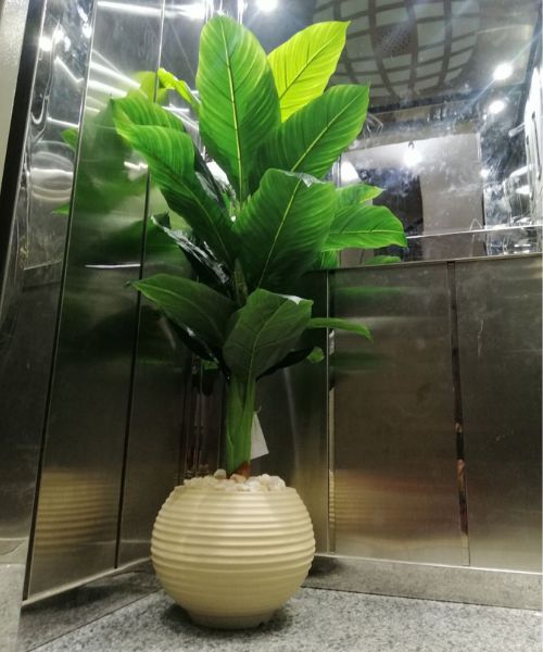 Banana Artificial Plant With Acrylic Pot 20 Leaves 150 Cm - White Green