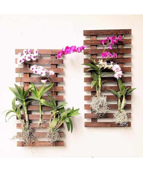وعاء نباتات يثبت على الحائط من قطعتين من اصيص خشبي معلق للنباتات للاستخدام الداخلي يثبت على الحائط للحديقة بتصميم عمودي للاستخدام الخارجي، حامل لعرض زهور