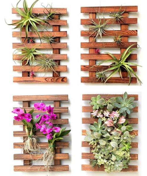حامل نباتات يثبت على الحائط - اصيص نباتات من الخشب معلق للنباتات الداخلية، حامل نباتات عصارية هوائية للحديقة بتصميم عمودي من 4 قطع حامل نباتات يثبت على الحائط، ديكور حائط لديكورات الكريسماس في