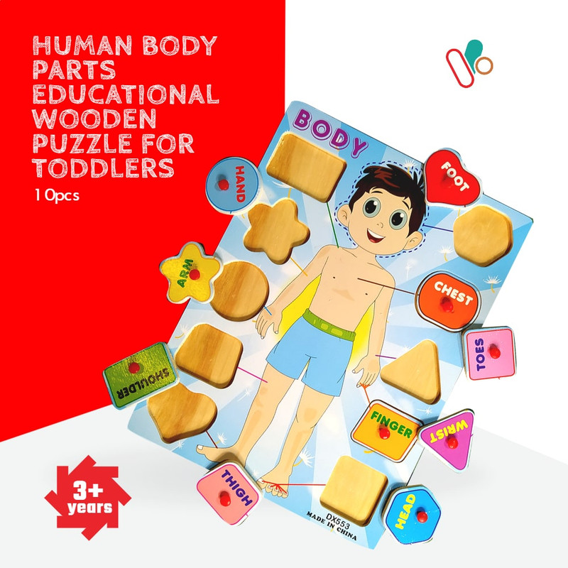Wooden Human body puzzle with handle - boy