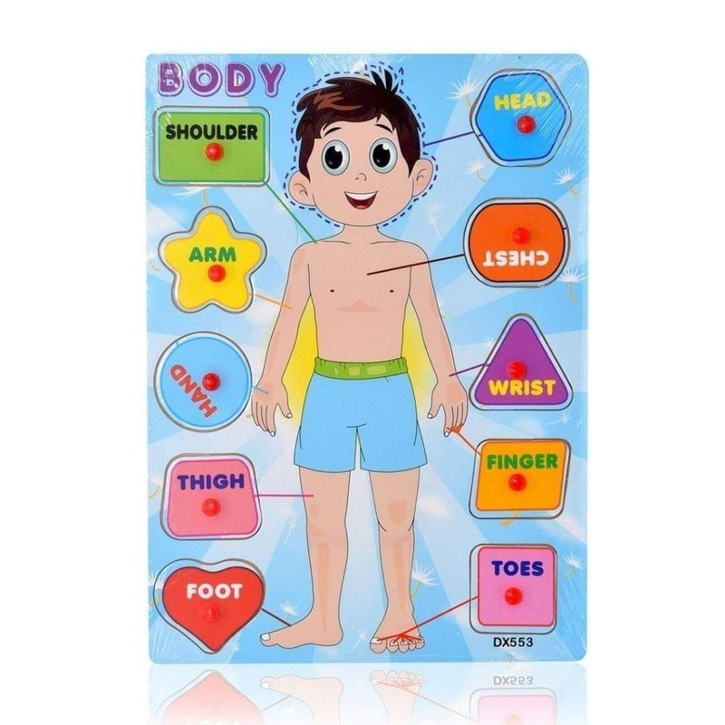 Wooden Human body puzzle with handle - boy