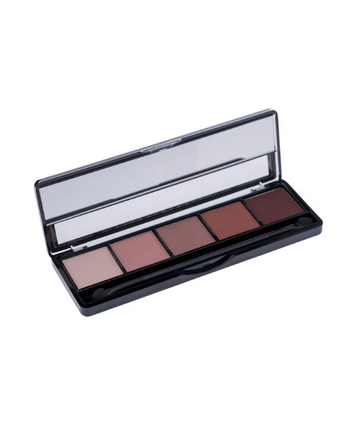 Topface Pro Eyeshadow Palette 5 Colors - 017