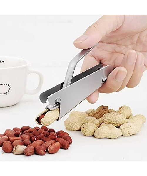 Stainless steel pulp and nuts peeler- Silver
