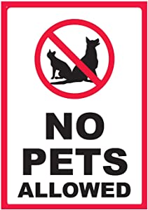 Guidance sign No dogs or cats No animals allowed