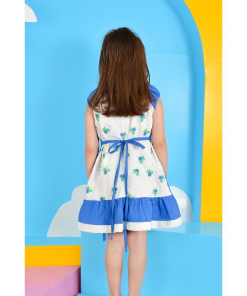 Cotton Dress Floral print Sleeveless Round Neck for Girls - Blue White