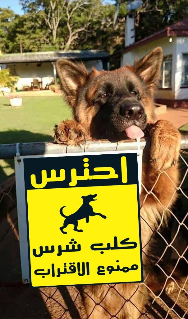 A guide sign warning against approaching, due to the presence of a ferocious dog